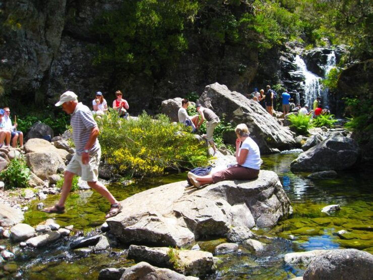 From Funchal: Madeira Lakes Levada Guided Hike - Experience Highlights
