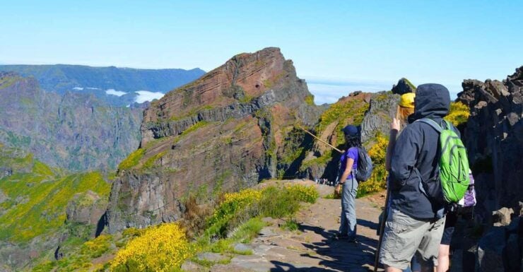 From Funchal: Madeira Peaks Mountain Walk - Experience Highlights