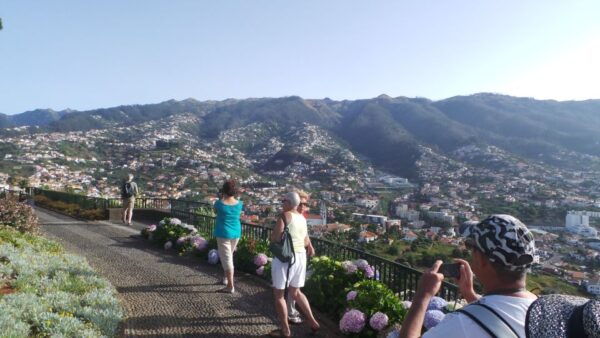 From Funchal: Madeira Skywalk, Valleys, & Wine Tasting - Free Cancellation and Flexible Booking