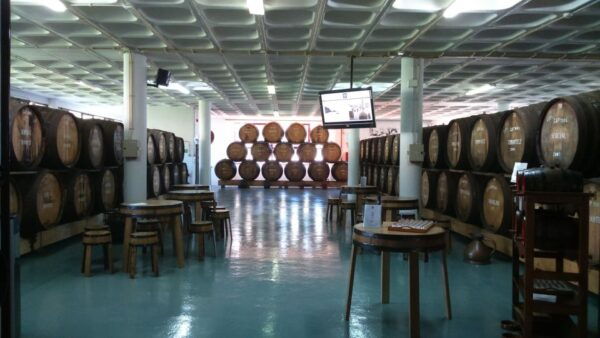 From Funchal: Madeira Skywalk, Valleys, & Wine Tasting - Transportation and Pickup Details