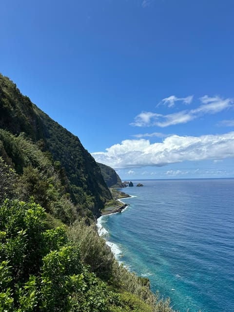 From Funchal: One Day Tour to Fanal - Seixal - Porto Moniz - Seixal