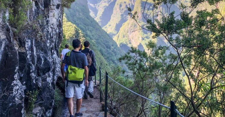 From Funchal or Caniço: Private Hiking Trip With a Local - Booking and Logistics