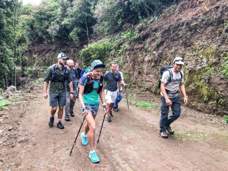 From Funchal or Caniço: Private Hiking Trip With a Local - Experience Highlights