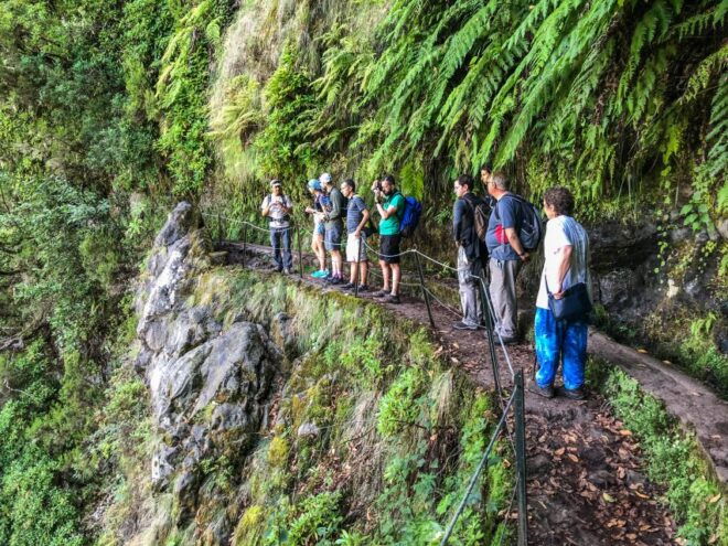 From Funchal or Caniço: Private Hiking Trip With a Local - Detailed Description