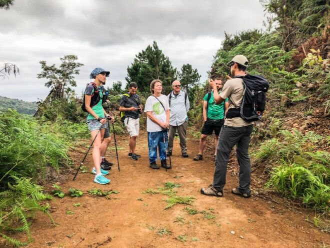 From Funchal or Caniço: Private Hiking Trip With a Local - Schedule and Difficulty Levels