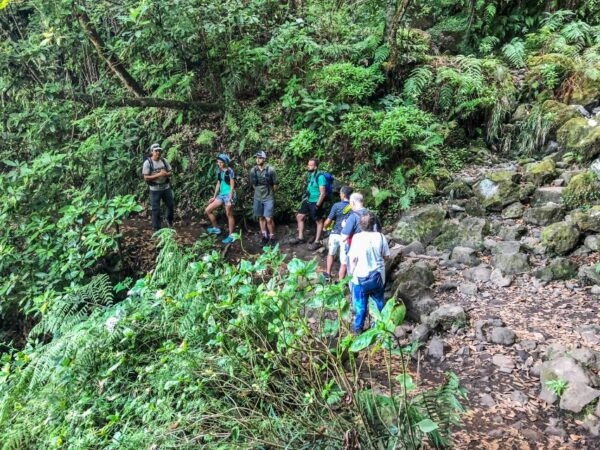 From Funchal or Caniço: Private Hiking Trip With a Local - Common Questions
