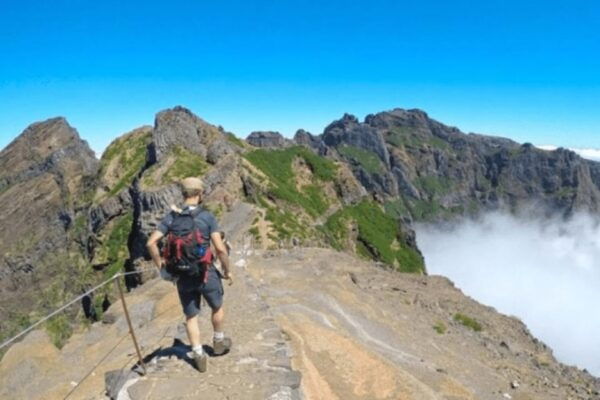 From Funchal: Pico Do Areiro and Pico Ruivo Hiking Tour - Customer Feedback