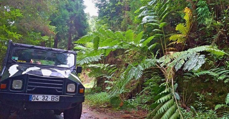 From Funchal: Pico Do Areiro and Santana Full-Day Jeep Tour - Good To Know