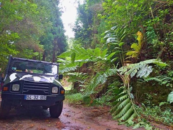 From Funchal: Pico Do Areiro and Santana Full-Day Jeep Tour - Frequently Asked Questions
