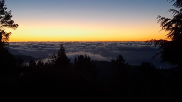 From Funchal: Pico Do Arieiro Sunset With Dinner & Drinks - Directions