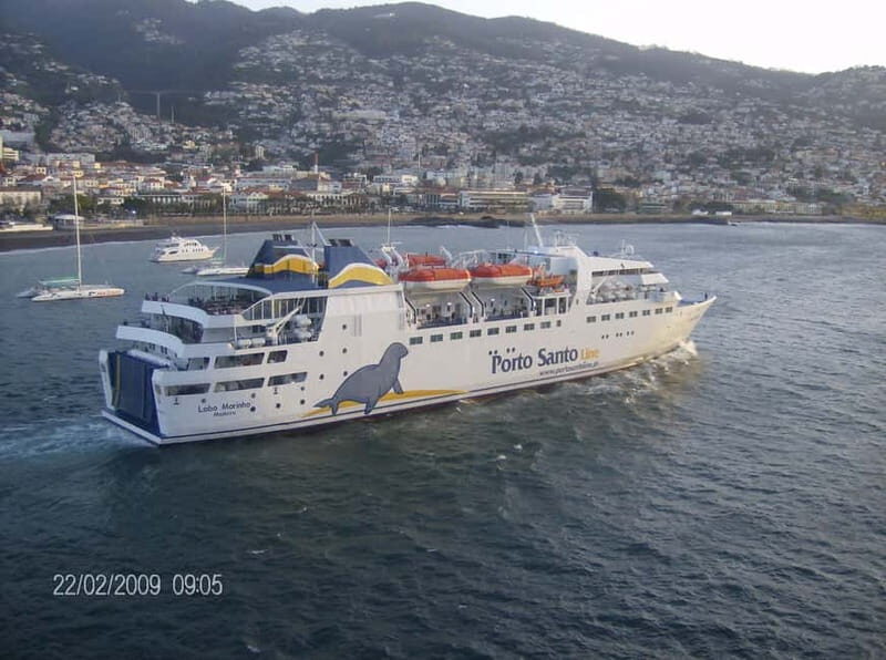 From Funchal: Porto Santo 1-Day Cruise and Tour - Good To Know
