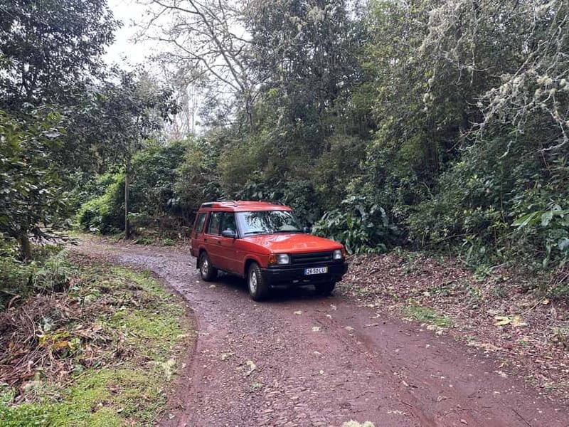 From Funchal: Private Eastern or Western Jeep Tour - A Day in Madeira’s West: What to Expect