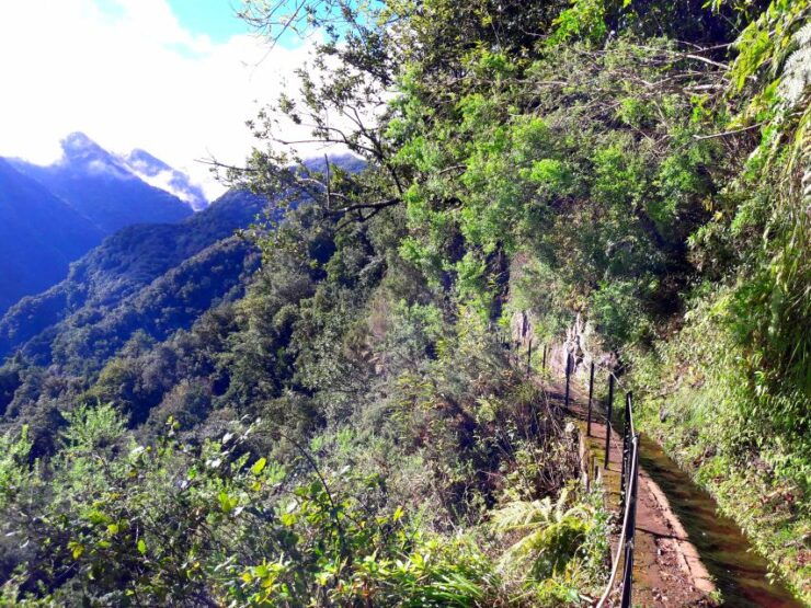 From Funchal: São Jorge Valleys Levada Walk - Experience Highlights