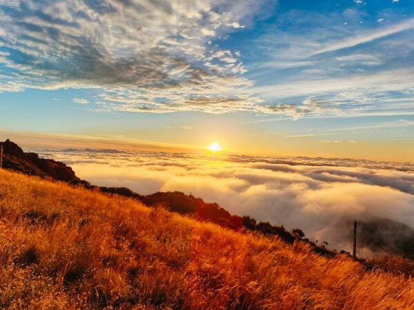 From Funchal: Sunrise at Pico Do Arieiro With Breakfast - Flexibility and Itinerary Changes