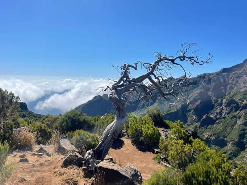 From Funchal: Transfer to Pico do Arieiro & Pico Ruivo Trail - Good To Know