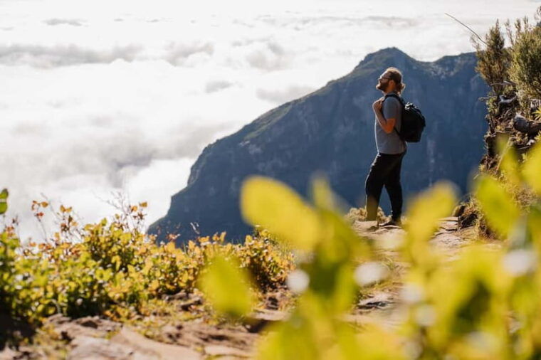 From Funchal: Transfer to Pico do Arieiro & Pico Ruivo Trail - The Practicalities: Transport, Duration, and Cost