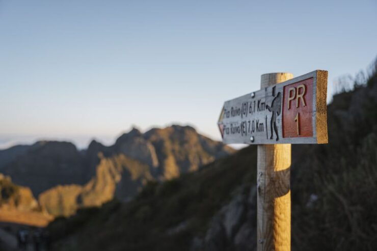 From Funchal: Transfer to Pico Do Arieiro & Pico Ruivo Trail - Experience Highlights