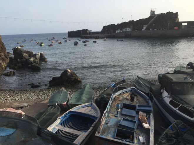 From Funchal: West Madeira and Laurel Forest Day Trip - Convenient Pickup Service