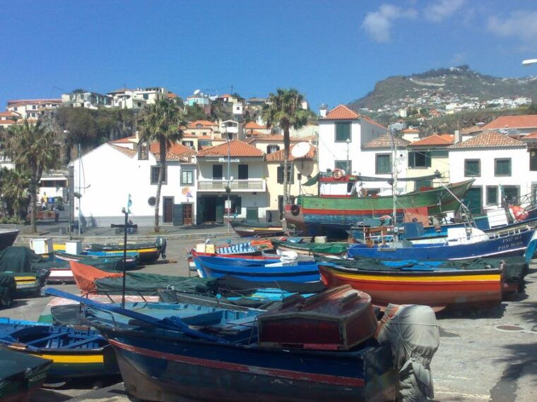 From Funchal: West Madeira Waterfalls and Fanal Forest Tour - Who Is This Tour Best For?