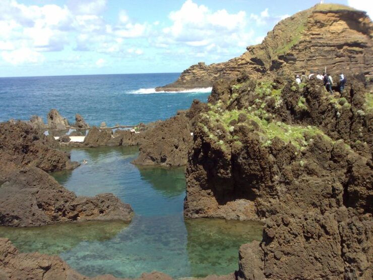 From Funchal: West Madeira Waterfalls and Fanal Forest Tour - Activity Details