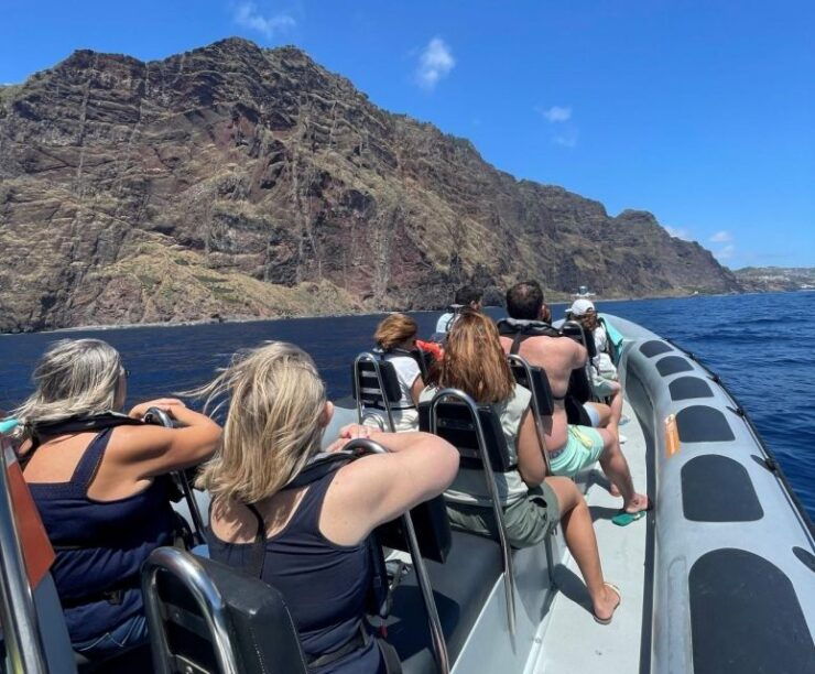 From Funchal: Whale and Dolphin Watching - Activity Details for Whale and Dolphin Watching