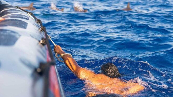 From Funchal: Whale and Dolphin Watching - Booking Details for Whale and Dolphin Watching