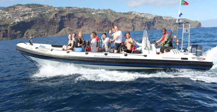 From Funchal: Whales and Dolphin Adventure Tour - Pricing and Reservations