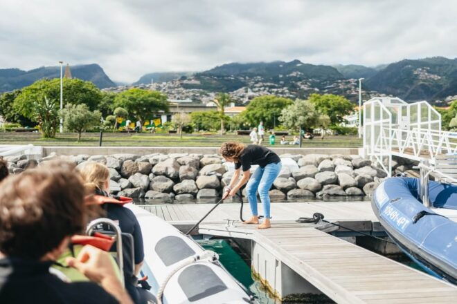 From Funchal: Whales and Dolphin Adventure Tour - Whale and Dolphin Sightings