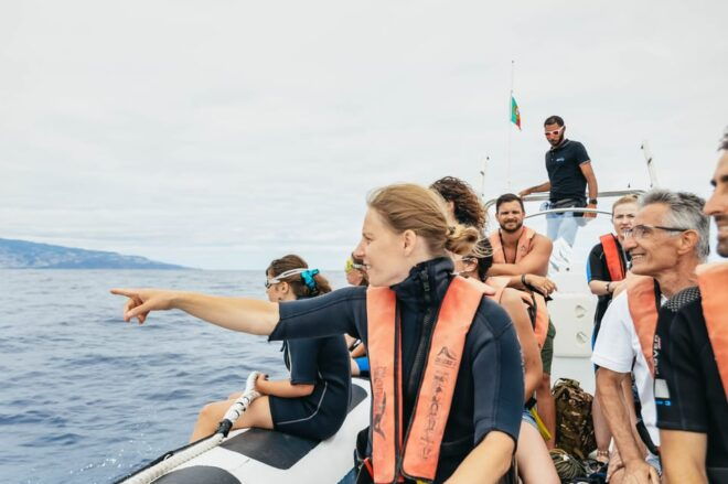 From Funchal: Whales and Dolphin Adventure Tour - Boat Features and Advantages