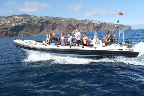 From Funchal: Whales and Dolphin Adventure Tour - Important Requirements