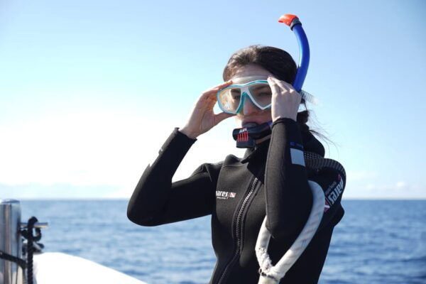 From Funchal: Whales and Dolphin Adventure Tour - Customer Ratings and Feedback