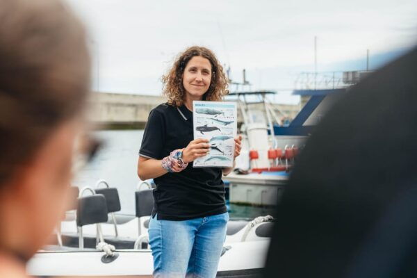 From Funchal: Whales and Dolphin Adventure Tour - Frequently Asked Questions