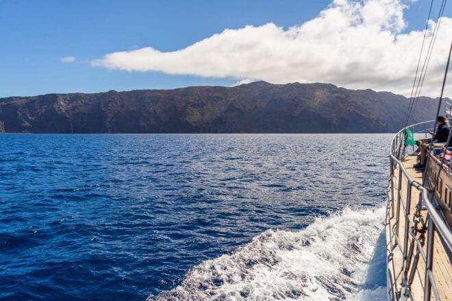 From Funchal : Wooden Boat Excursion to Desertas Island - Customer Feedback