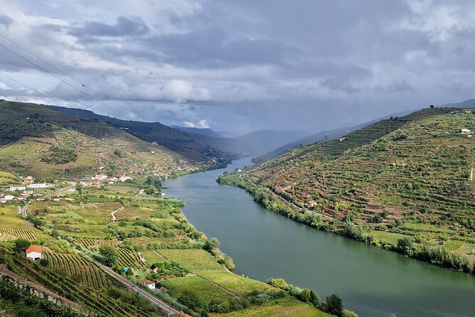 From Gaia Tour to Douro Valley With Boat Wine Tasting and Lunch - Price and Booking Information