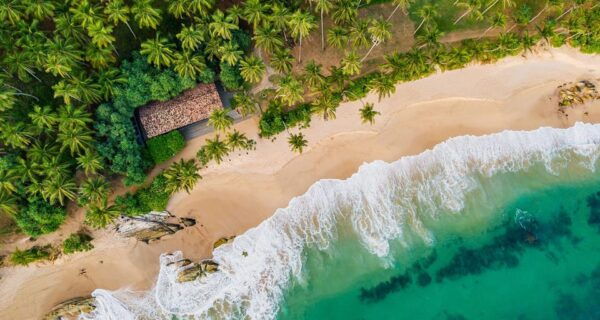 From Galle/Bentota/Hikkaduwa: to Colombo Airport Pvt Taxi - Customer Reviews and Testimonials