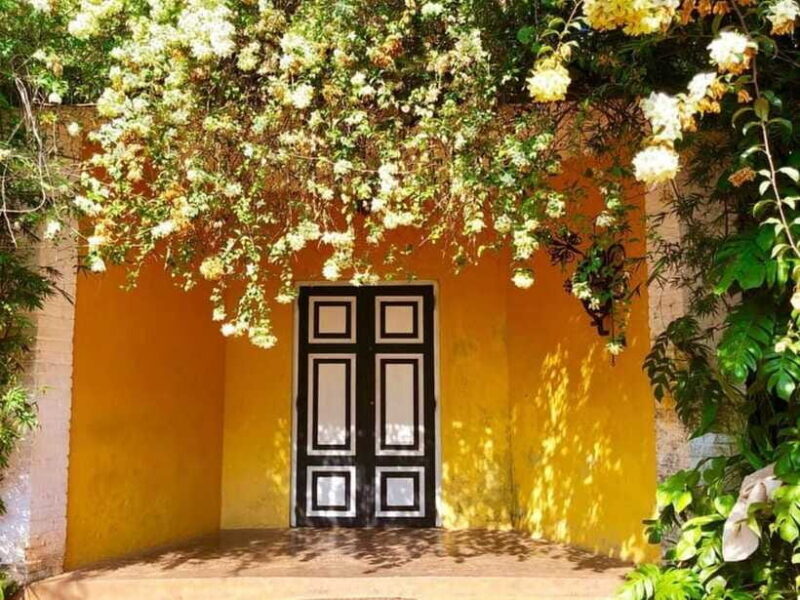 From Galle/Hikkaduwa: Discover Lunuganga & Brief Garden - Who Is This Tour Best For?