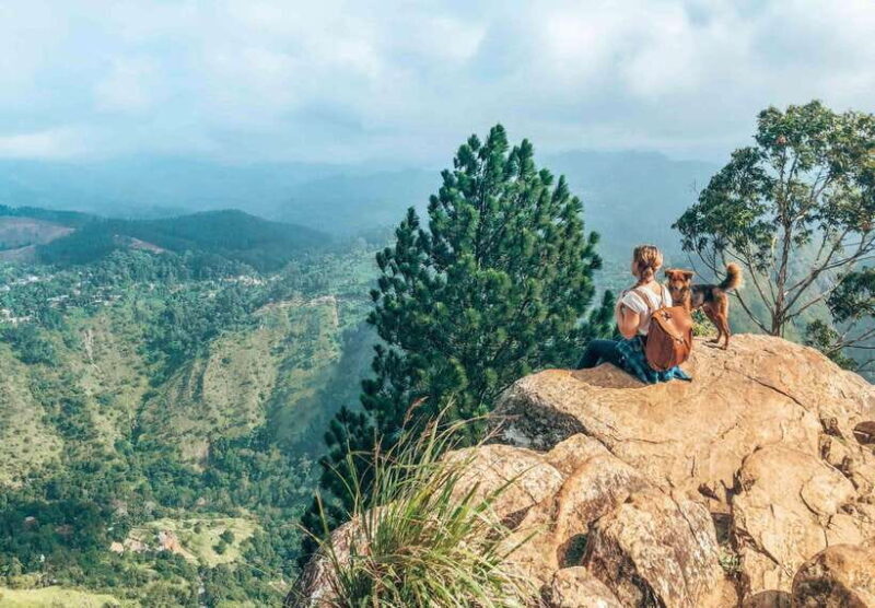 From Galle/Hikkaduwa/Mirissa: Day Trip to Experience Ella - Exploring the Itinerary