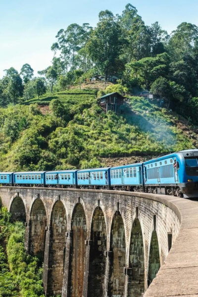 From Galle/Hikkaduwa/Mirissa Day Trip to Experience Ella - Optional Activities and Experiences