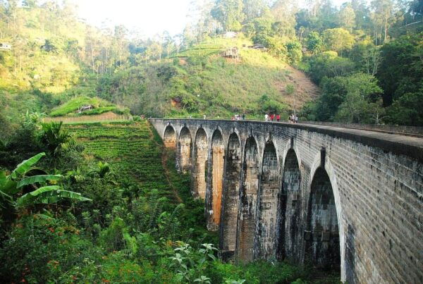 From Galle/Hikkaduwa/Mirissa Day Trip to Experience Ella - Best Time to Visit Ella