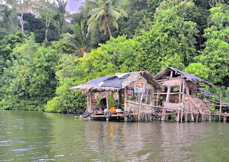 From Galle: Madu River Safari & Turtle Hatchery Visit - Good To Know