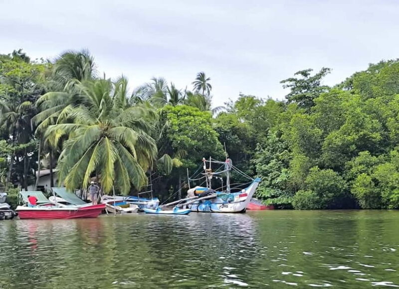 From Galle: Madu River Safari & Turtle Hatchery Visit - Exploring the Tour in Detail