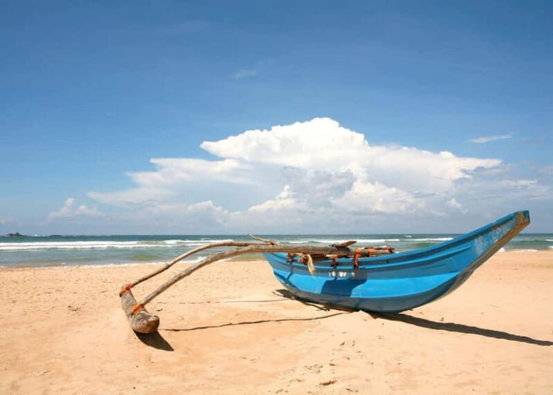 From Galle: Madu River Safari, Turtles & Galle Fort - Good To Know