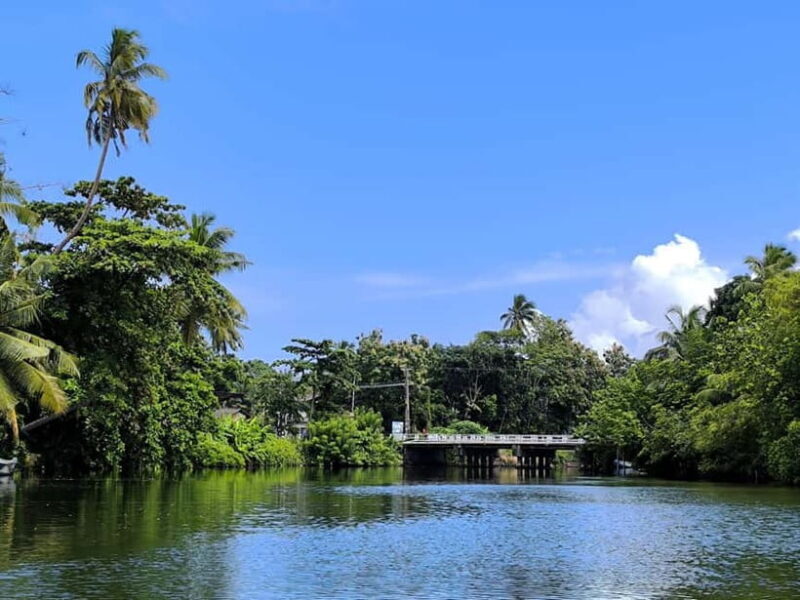 From Galle: Madu River Safari, Turtles & Galle Fort - Practical Aspects & Tips