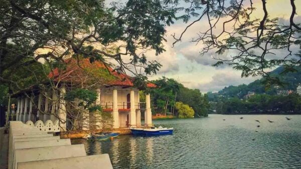 From Galle/Mirissa/Hikkaduwa Day Trip to Experience Kandy - Transportation and Inclusions