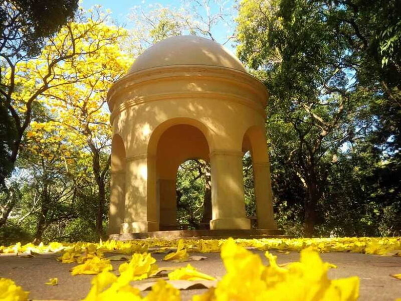 From Galle/Mirissa/Hikkaduwa: Kandy Day Tour with Pickup - The Sum Up