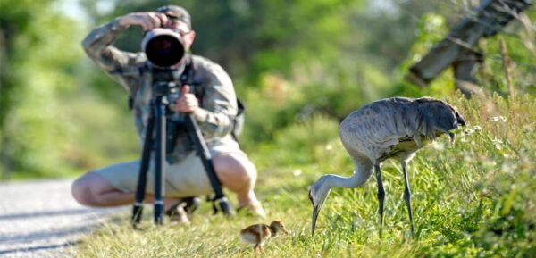 From Galle/Mirissa/Hikkaduwa- Udawalawe National Park Safari - Frequently Asked Questions