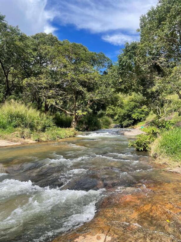 From Galle/Mirissa/Weligama: Private Waterfall Hunt to Ella - FAQ