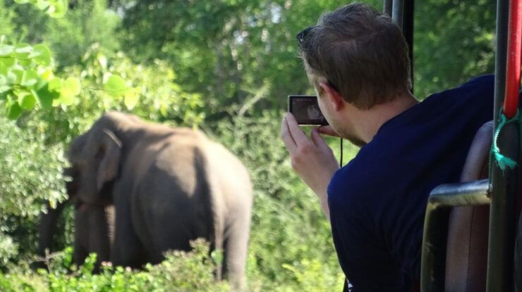 From Galle or Mirissa: Yala Safari With Lunch at Campsite - Activity Details
