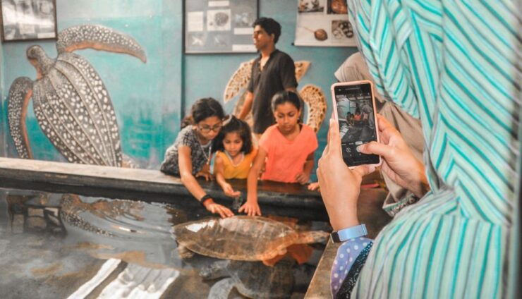 From Galle: Private Day Trip to Turtle Hatchery & Madu Ganga - Highlights of the Activity