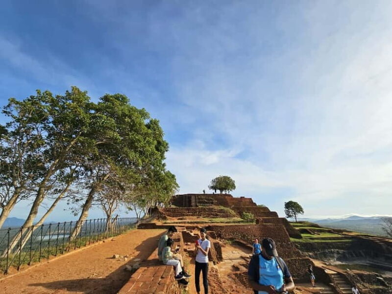 From Galle: Sigiriya Rock Fortress, Dambulla Cave & Safari - Optional Safari Adventure
